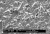 Figure 1  Scanning electronic microscopy depicting the different particle sizes of a microhybrid composite resin.